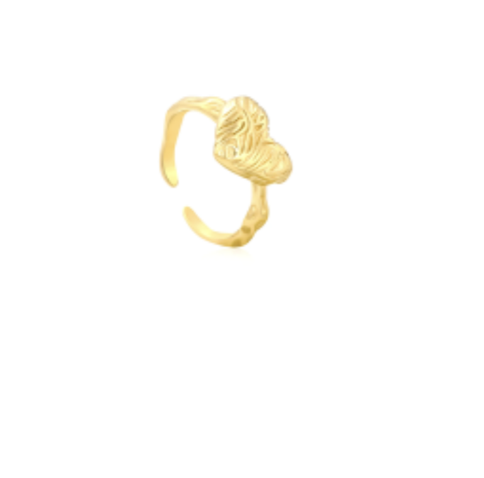 Screenshot 2026-02-24 (10.01.26)